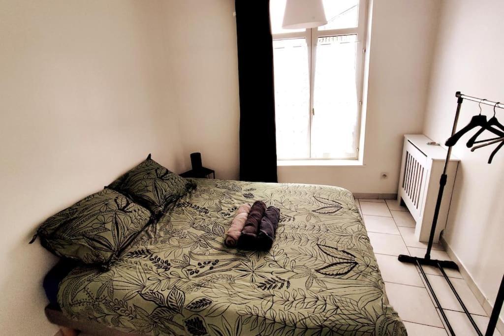 Logement Entier Proche Tribunaux Douai Extérieur photo